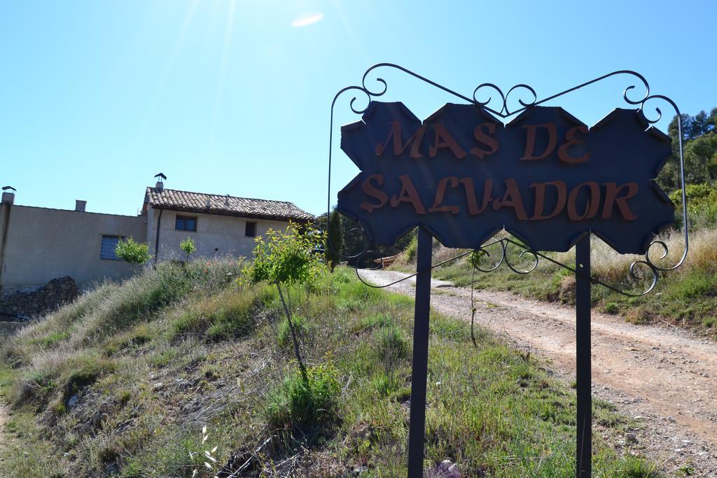 فيلا Mas De Salvador Peñarroya de Tastavins المظهر الخارجي الصورة